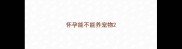 怀孕能不能养宠物