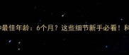 柯基犬配种最佳年龄6个月这些细节新手必看科学繁殖指南