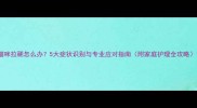 猫咪拉稀怎么办5大症状识别与专业应对指南附家庭护理全攻略