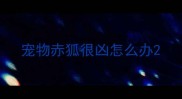 宠物赤狐很凶怎么办