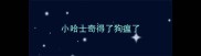 小哈士奇得了狗瘟了