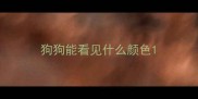 狗狗能看见什么颜色