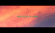 成年边牧拉肚子没精神