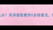 哈士奇水样便怎么办资深兽医教你5步排查法快速解决肠胃问题