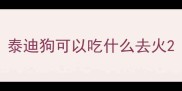 泰迪狗可以吃什么去火