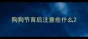 狗狗节育后注意些什么