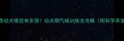 哈士奇幼犬嗅觉有多强幼犬期气味训练全攻略附科学养宠指南