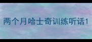 两个月哈士奇训练听话