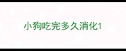 小狗吃完多久消化