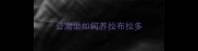 公寓里如何养拉布拉多