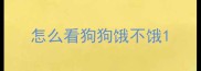 怎么看狗狗饿不饿