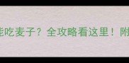 拉布拉多能不能吃麦子全攻略看这里附安全喂养指南