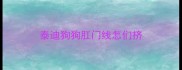 泰迪狗狗肛门线怎们挤