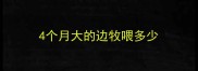 4个月大的边牧喂多少