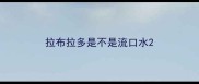 拉布拉多是不是流口水