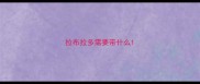 拉布拉多需要带什么