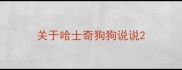 关于哈士奇狗狗说说