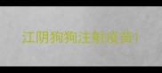 江阴狗狗注射疫苗