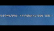 哈士奇掉毛周期全科学护理指南与应对策略附图片