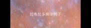 拉布拉多脚掌鸭子