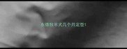 东德牧羊犬几个月定型