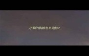 小狗的狗粮怎么泡软