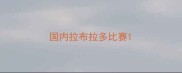 国内拉布拉多比赛