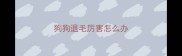 狗狗退毛厉害怎么办