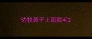 边牧鼻子上面脱毛