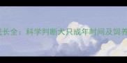 鹿犬成长全科学判断犬只成年时间及饲养要点