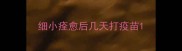 细小痊愈后几天打疫苗