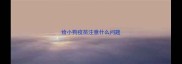 给小狗疫苗注意什么问题