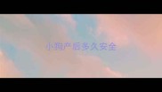 小狗产后多久安全