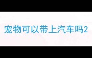 宠物可以带上汽车吗