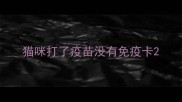 猫咪打了疫苗没有免疫卡