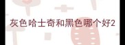 灰色哈士奇和黑色哪个好