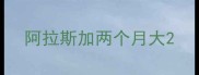 阿拉斯加两个月大