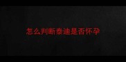 怎么判断泰迪是否怀孕