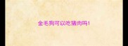 金毛狗可以吃猪肉吗