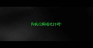 狗狗拉稀呕吐打嗝