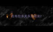 拉布拉多犬多大绝育