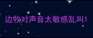 边牧对声音太敏感乱叫