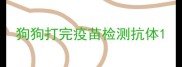 狗狗打完疫苗检测抗体