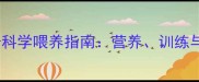 四个月哈士奇科学喂养指南营养训练与健康管理全