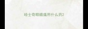 哈士奇眼睛痛用什么药
