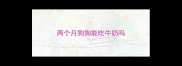 两个月狗狗能吃牛奶吗