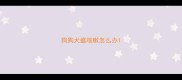 狗狗犬瘟咳嗽怎么办