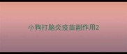 小狗打脑炎疫苗副作用