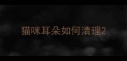 猫咪耳朵如何清理