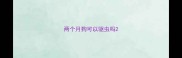 两个月狗可以驱虫吗
